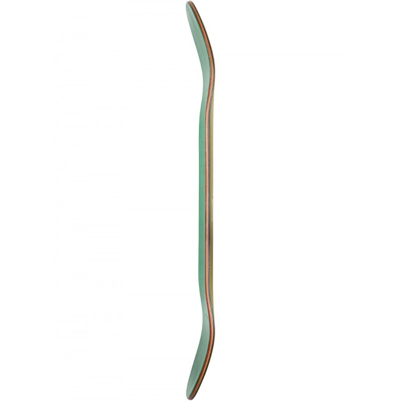 GLOBE G1 ACT NOW 8.0'