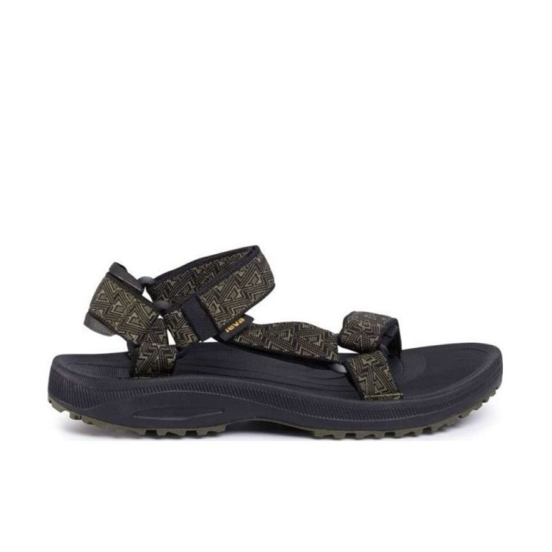TEVA M WINSTED