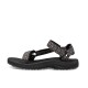 TEVA M WINSTED