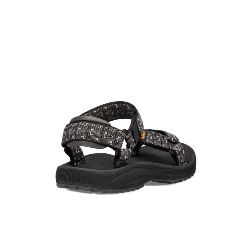 TEVA M WINSTED