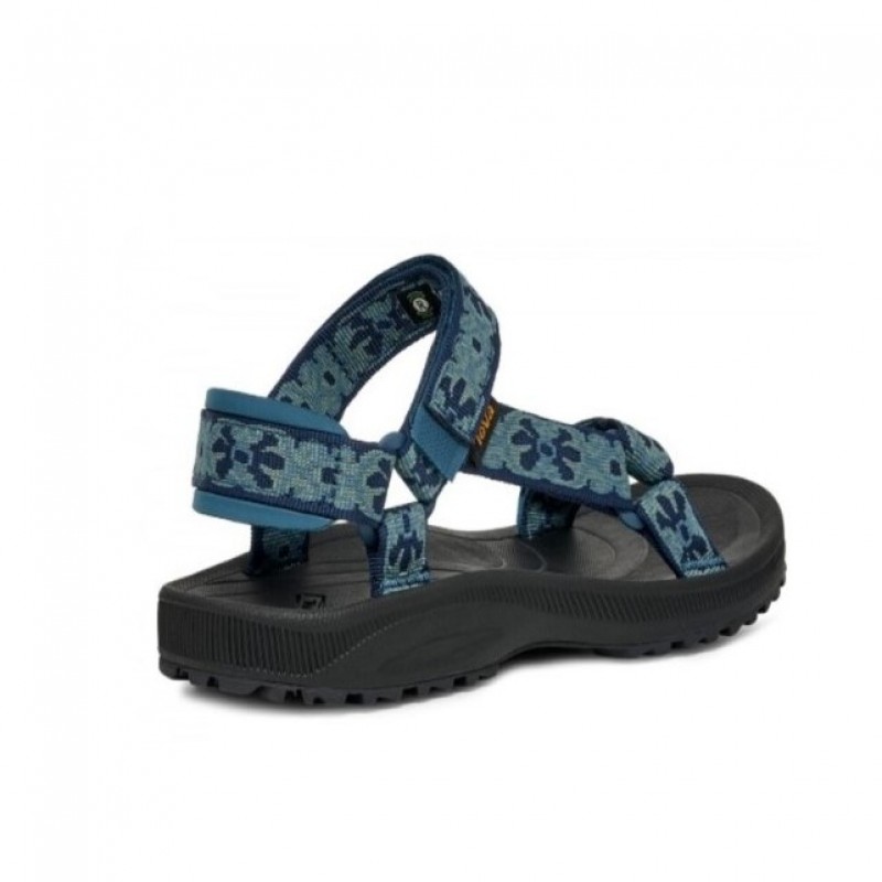 TEVA W WINSTED