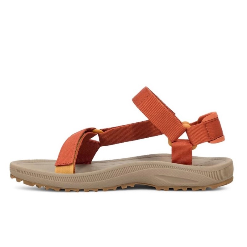 TEVA W WINSTED
