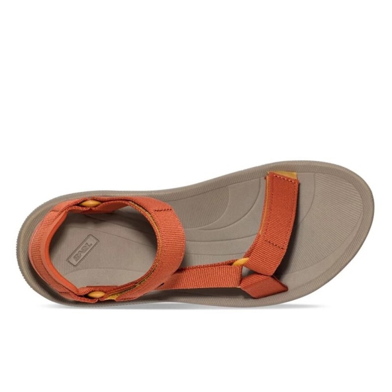 TEVA W WINSTED