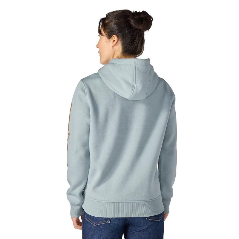 CARHARTT ICONIC CLARKSBURG LOGO SWEATSHIRT