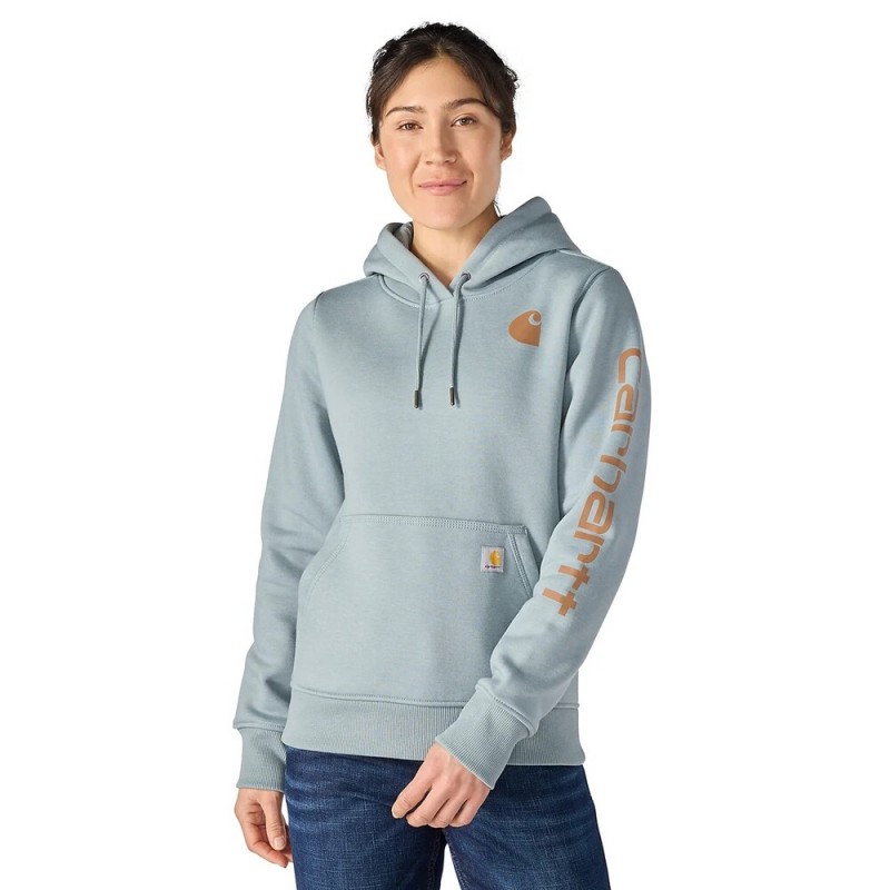 CARHARTT ICONIC CLARKSBURG LOGO SWEATSHIRT