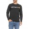 CARHARTT RELAXED FIT HEAVYWEIGHT LS LOGO GRAPHIC T-SHIRT
