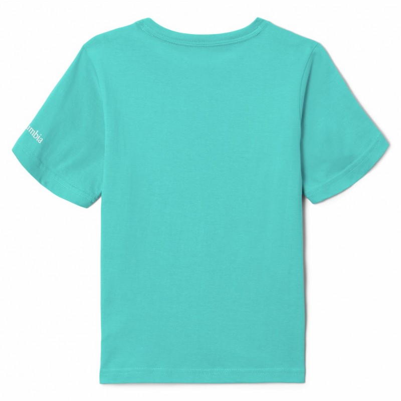 COLUMBIA VALLEY CREEK SHORT SLEEVE GRAPHIC SHIRT