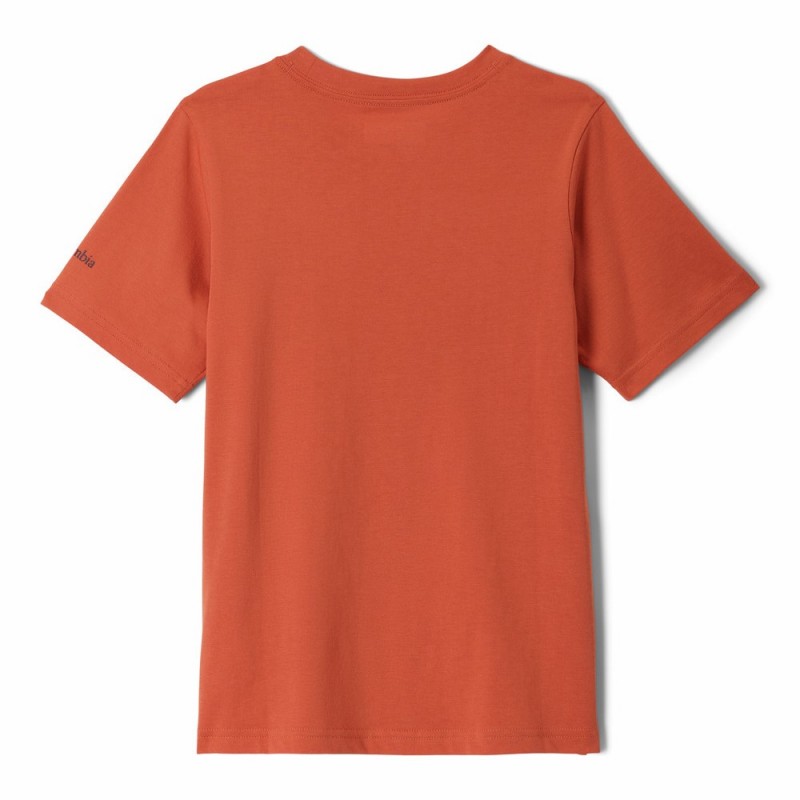 COLUMBIA VALLEY CREEK SHORT SLEEVE GRAPHIC SHIRT