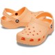 CROCS CLASSIC CLOG T
