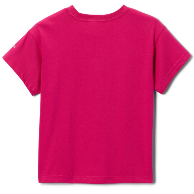 COLUMBIA MISSION LAKE II SS GRAPHIC SHIRT