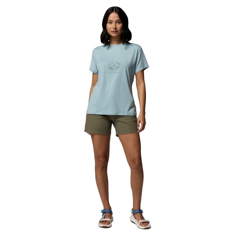COLUMBIA PARSONS POINT SS GRAPHIC TEE