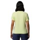 COLUMBIA PARSONS POINT SS  GRAPHIC TEE