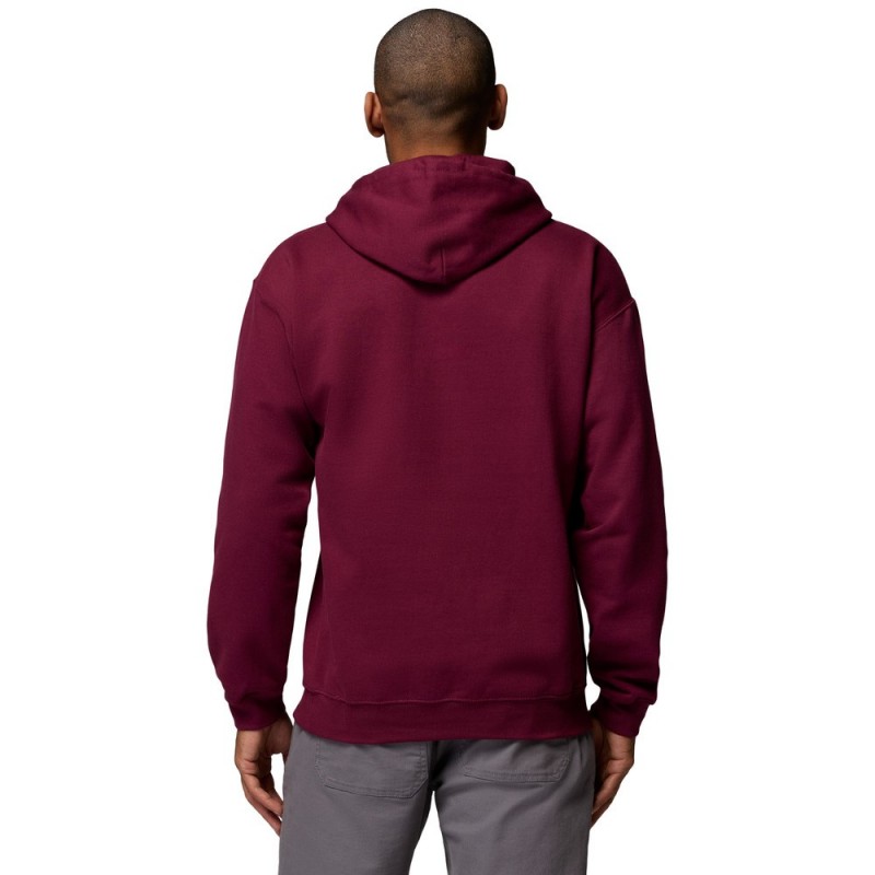 COLUMBIA OAKWIND HOODIE