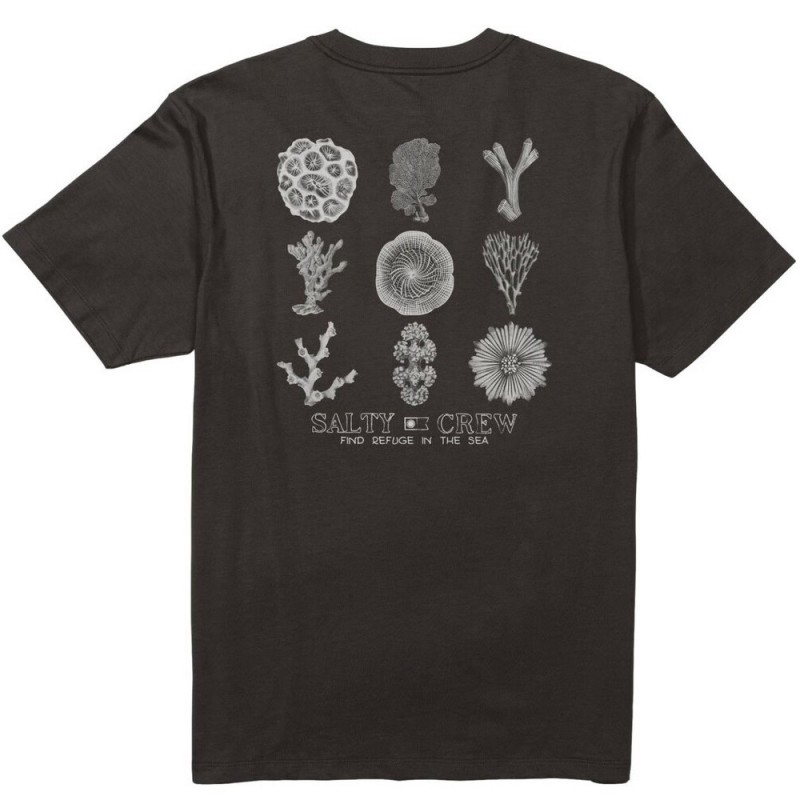 SALTY CREW CORAL HEAD SS TEE