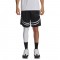 UNDER ARMOUR UA CURRY SIG SHORT