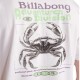 BILLABONG FAUNA SS