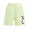 ADIDAS DY MIC SWIM SHORT
