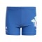 ADIDAS AD DY LS BOXER