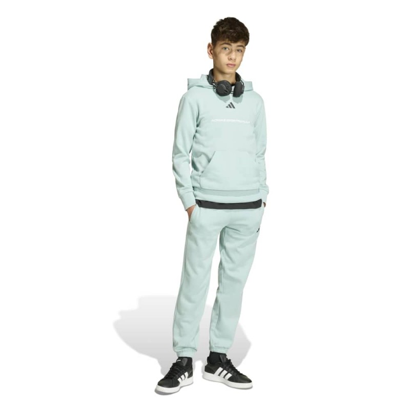 ADIDAS B FL HOODIE