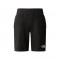 THE NORTH FACE B COTTON SHORTS