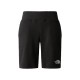 THE NORTH FACE B COTTON SHORTS