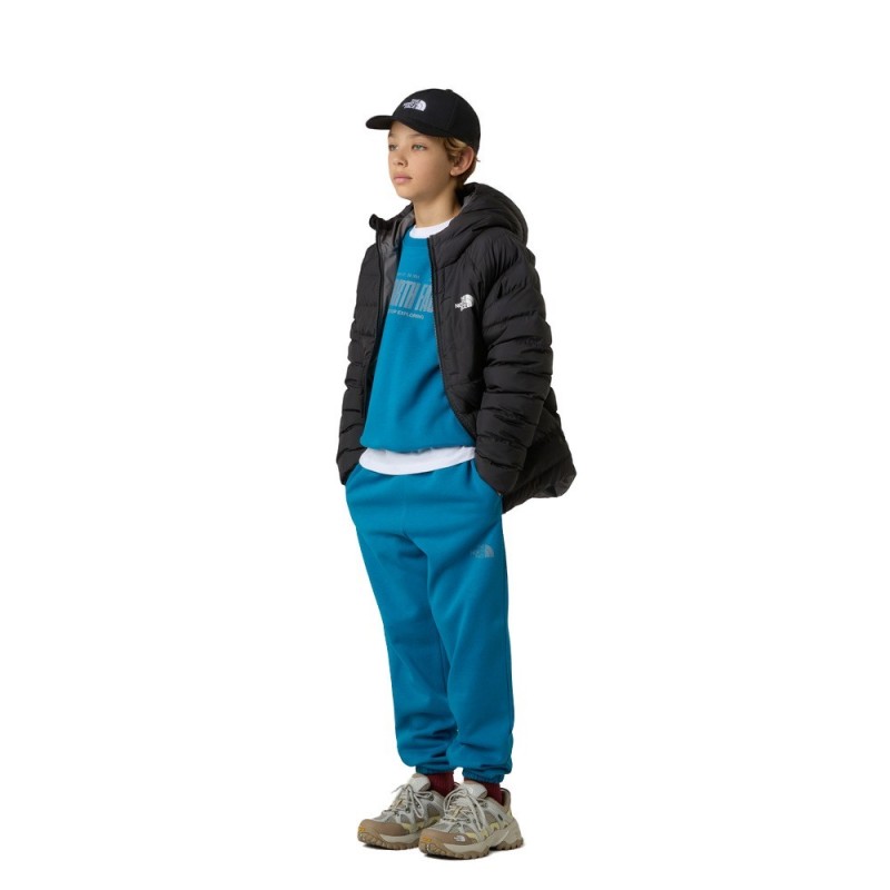 THE NORTH FACE B RVR PERRITO JACKET