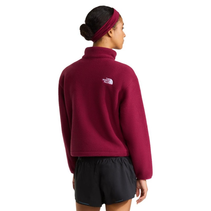 THE NORTH FACE W TNF FLEESKI 1/4 ZIP ΓΥΝΑΙΚΕΙΟ FLEECE