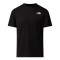 THE NORTH FACE M 24/7 BOX NSE SS TEE