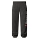 THE NORTH FACE M PANT VARSITY GRAPHIC