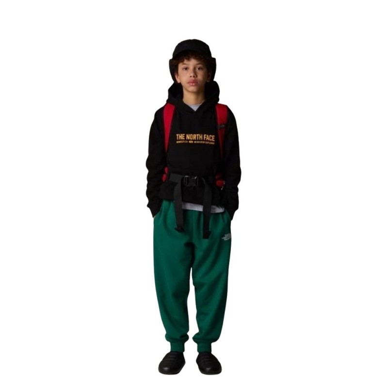 THE NORTH FACE TEEN VARSITY GRAPHIC RELAXED HOODIE