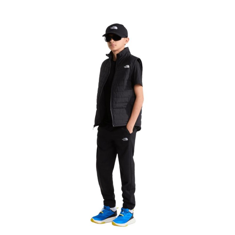 THE NORTH FACE B NEVER STOP SYNTH VEST