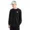 THE NORTH FACE M EVO BOX NSE REG LS TEE