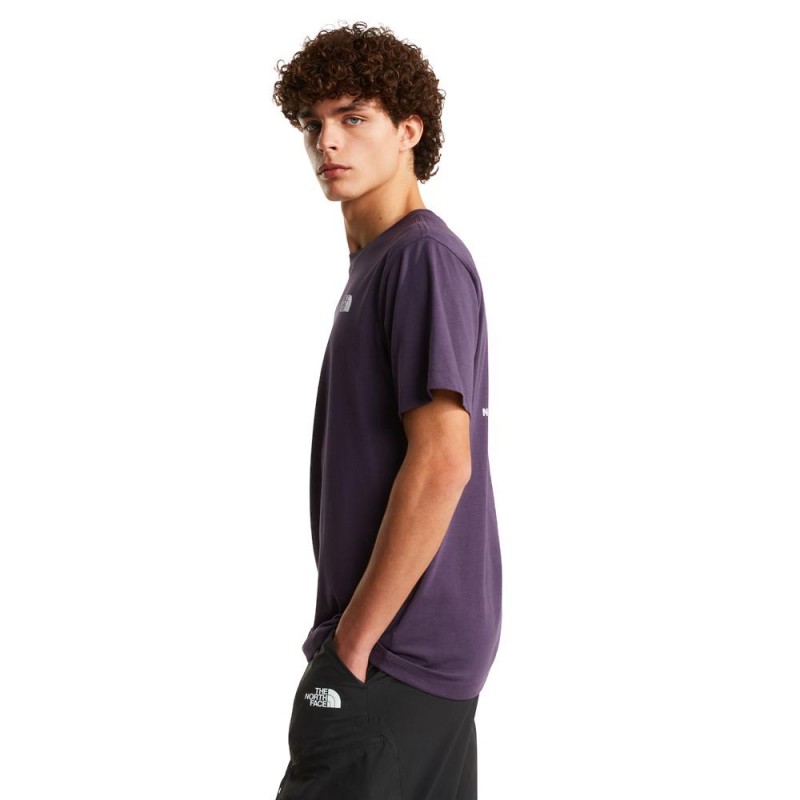 THE NORTH FACE M EVO BOX NSE REG SS TEE