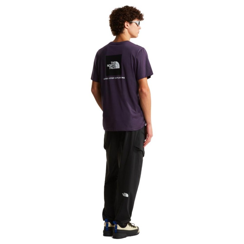 THE NORTH FACE M EVO BOX NSE REG SS TEE