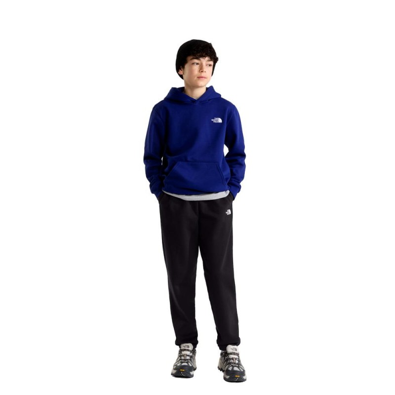 THE NORTH FACE TEEN EVOLTN SD EMB PANT