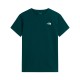 THE NORTH FACE M EVO SD REG SS TEE