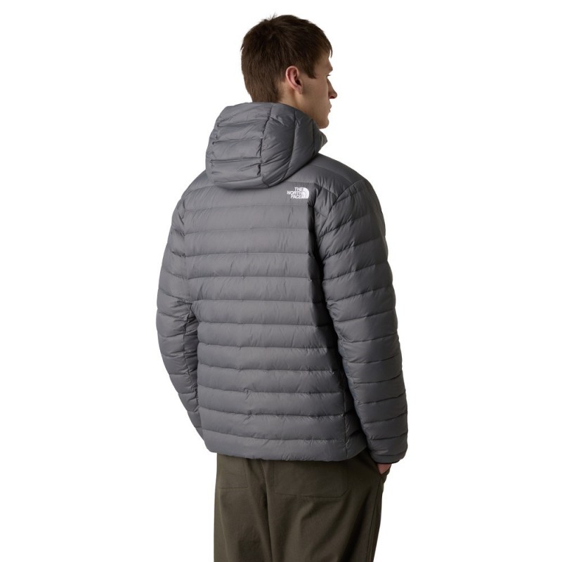 THE NORTH FACE M CLASSIC DWN HD JACKET