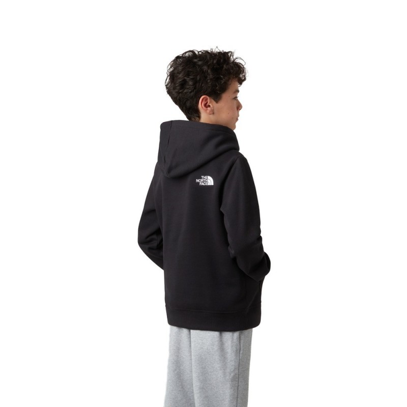 THE NORTH FACE TEEN DREW PEAK HOODIE