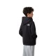 THE NORTH FACE TEEN DREW PEAK HOODIE