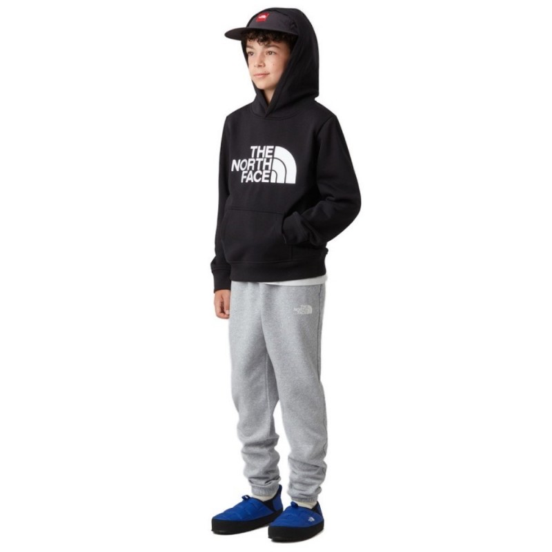 THE NORTH FACE TEEN DREW PEAK HOODIE
