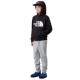 THE NORTH FACE TEEN DREW PEAK HOODIE