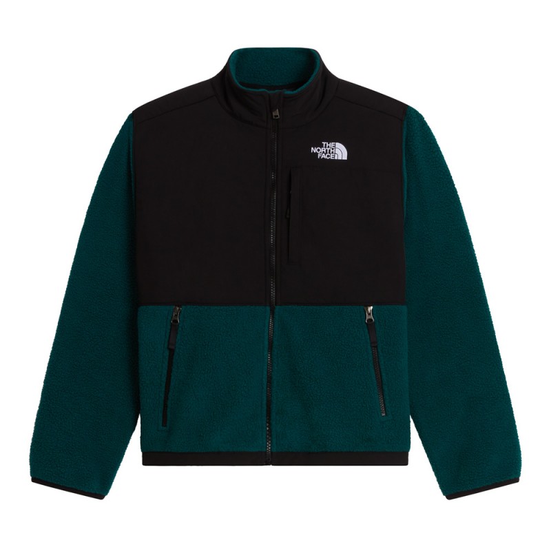 THE NORTH FACE TEEN DENALI JACKET