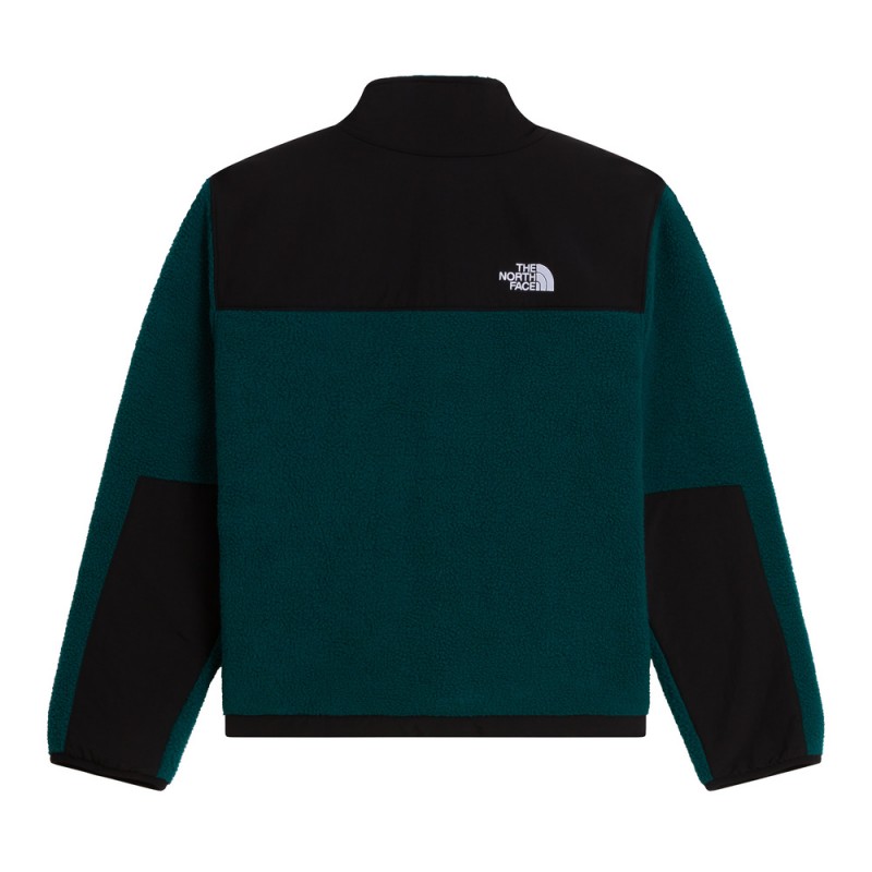 THE NORTH FACE TEEN DENALI JACKET
