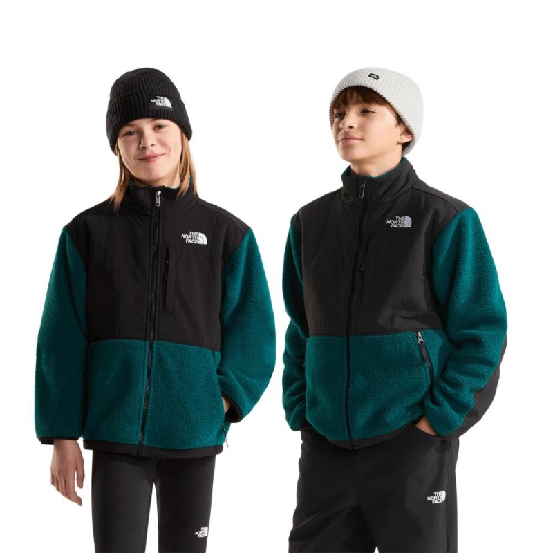 THE NORTH FACE TEEN DENALI JACKET
