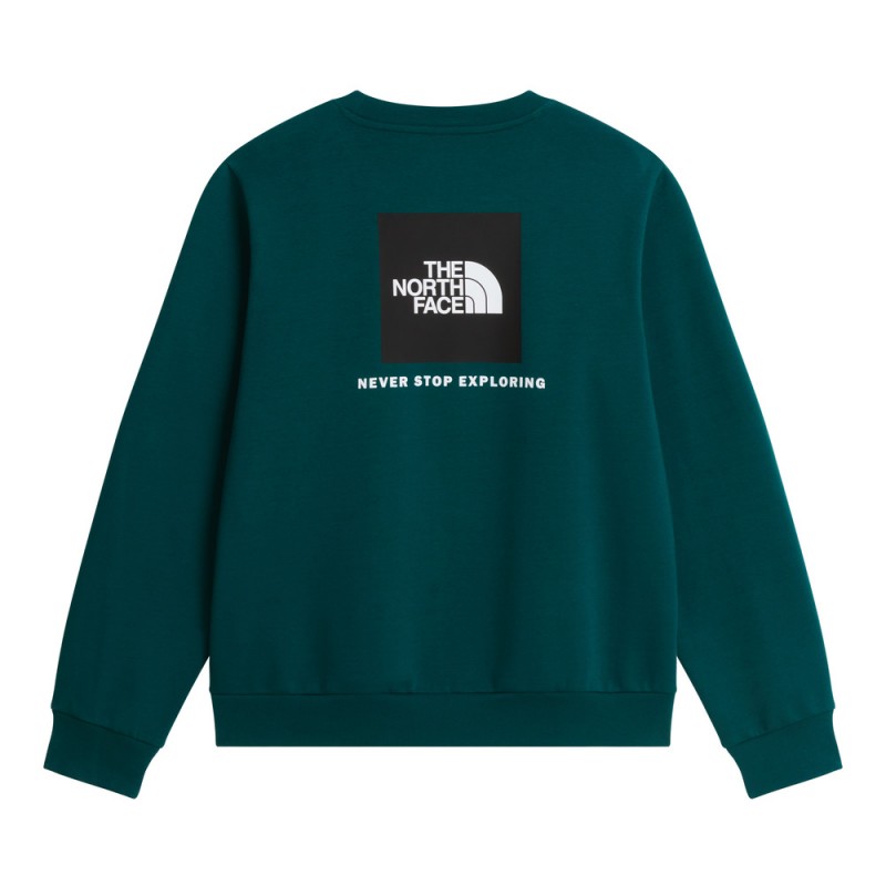 THE NORTH FACE M EVO BOX NSE REG CREW