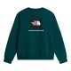 THE NORTH FACE M EVO BOX NSE REG CREW