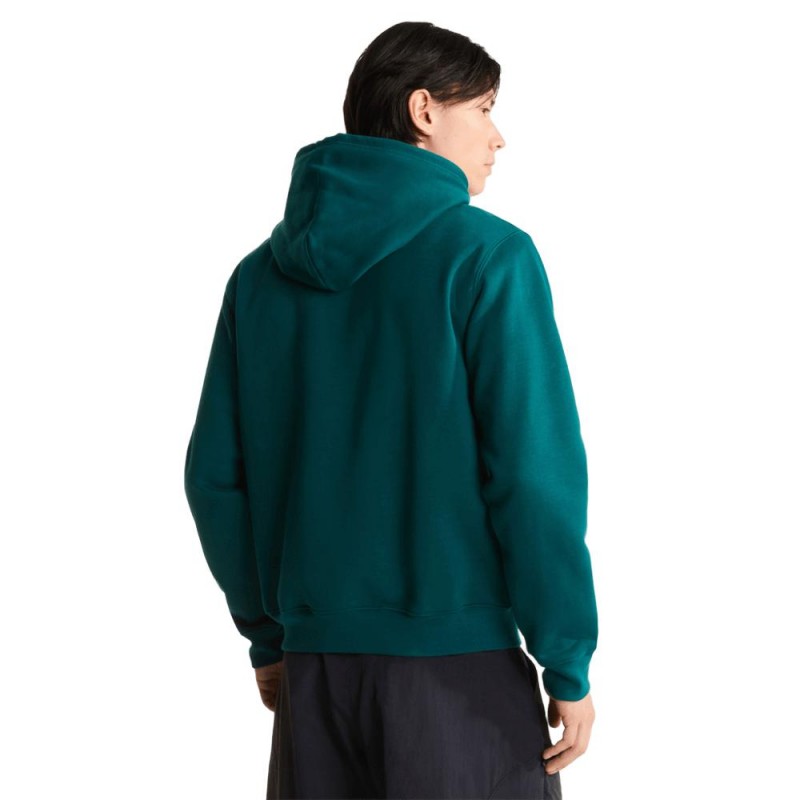 THE NORTH FACE M ESS DP REG HOODIE
