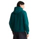 THE NORTH FACE M ESS DP REG HOODIE