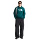 THE NORTH FACE M ESS DP REG HOODIE