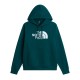 THE NORTH FACE M ESS DP REG HOODIE